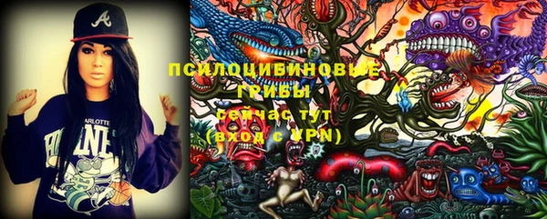 дмт Алексин
