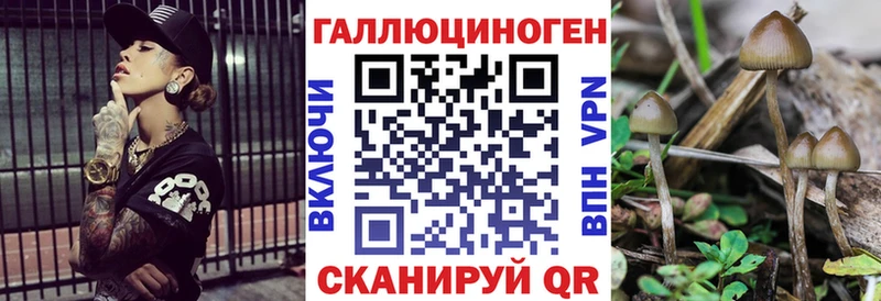 Псилоцибиновые грибы Cubensis  Катайск 